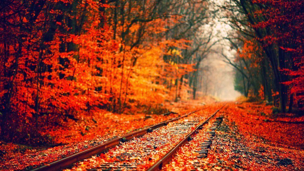 10 Things To Do In The Fall