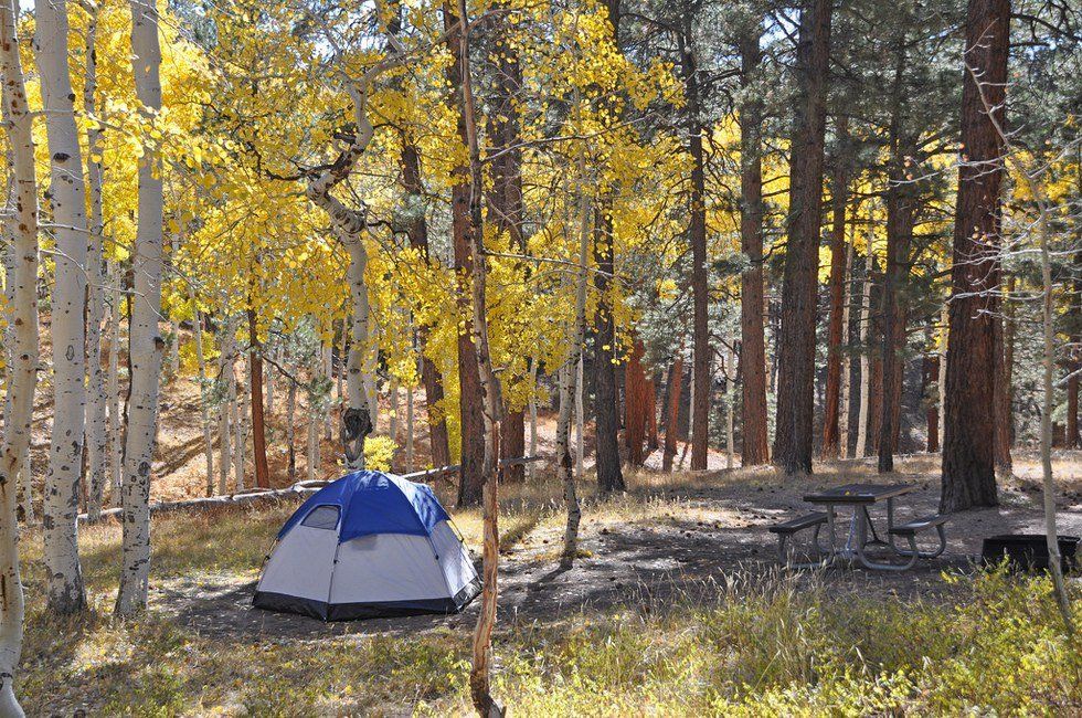 Camping's Best Season