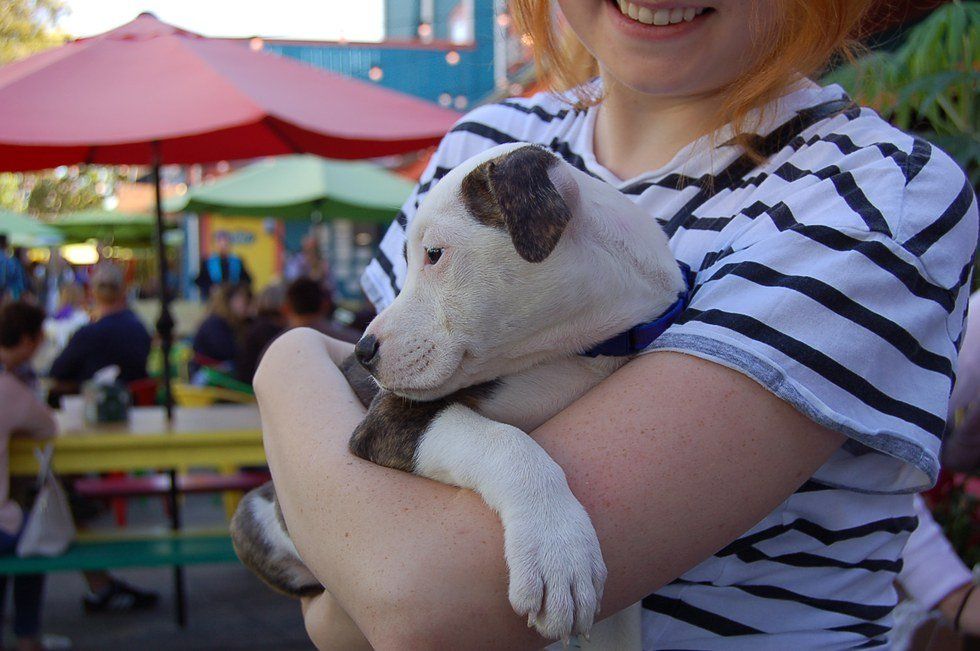 Why Dat Dog's "Barktoberfest" Is One Of The Best Events In NOLA This Fall