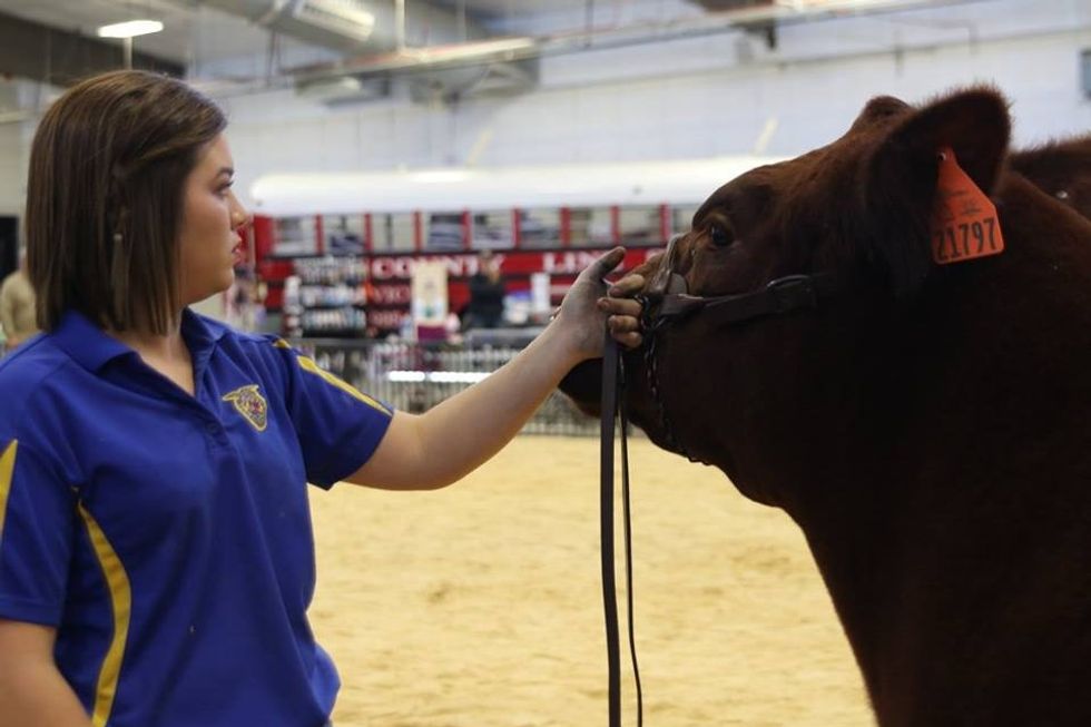 10 Definite L's You Will Take In The Show Barn