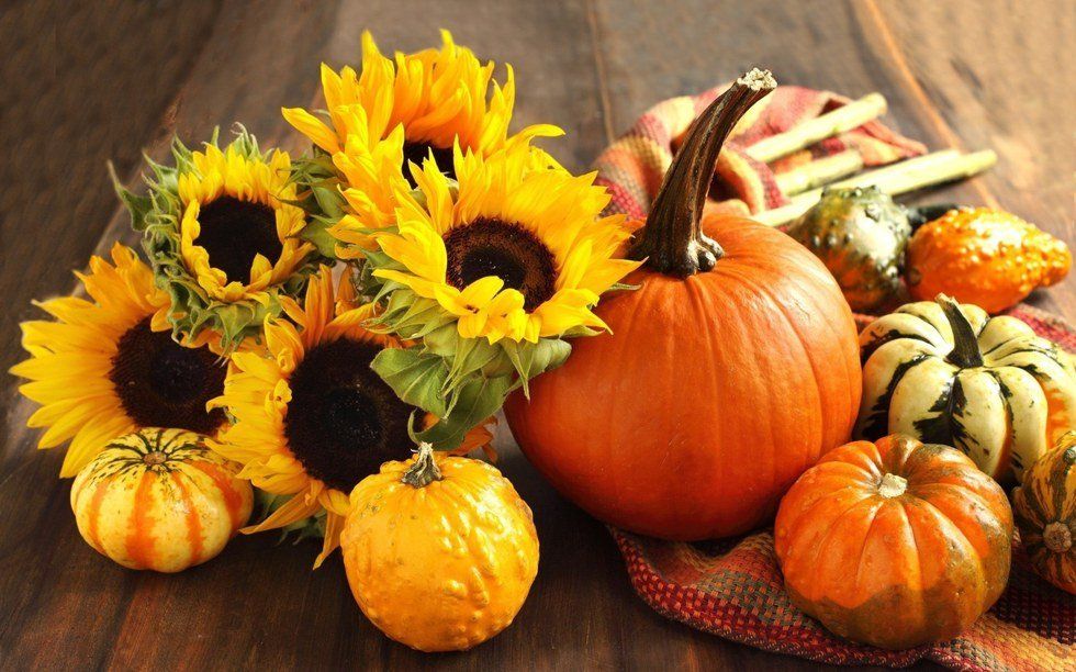 10 Ways to Enjoy Pumpkins