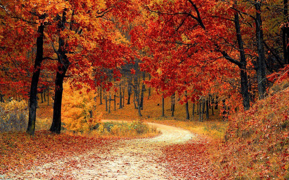 9 Reasons Why Fall Is The Best Season