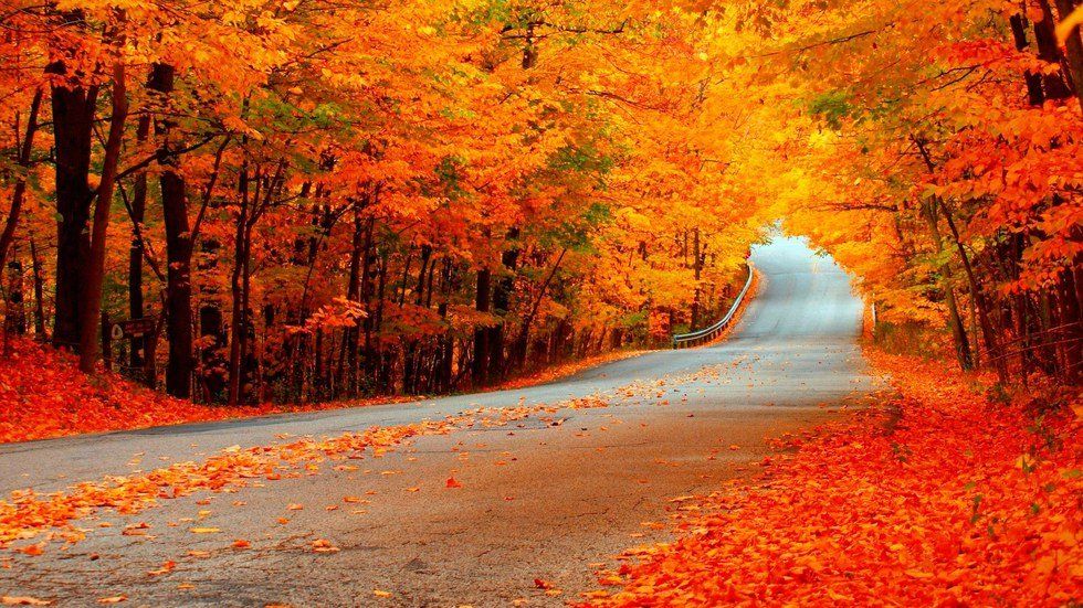 Why We Love Fall