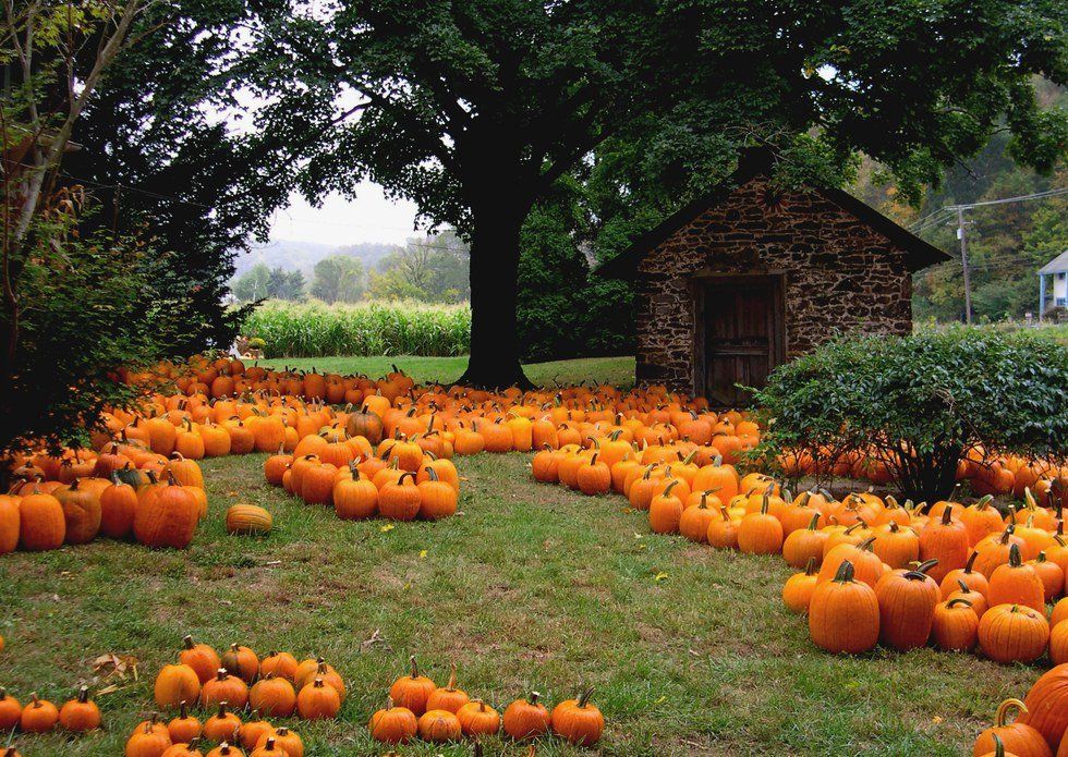 11 Things To Do In The Fall With Your Friends