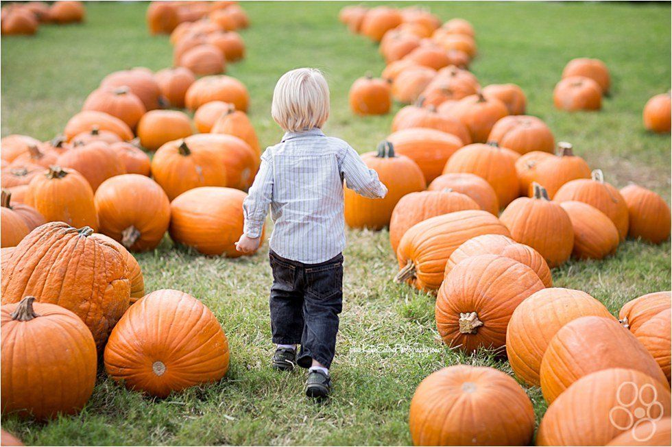 Top 10 Pumpkin Patches In The U.S.