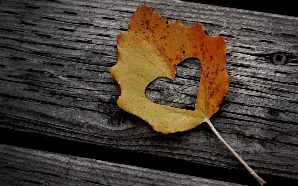 12 Reasons Why Fall is The Best Season