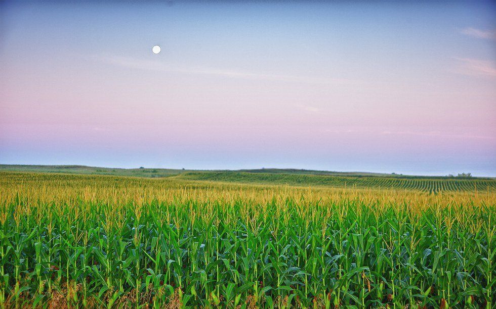 20 Things You Understand If You're From The Midwest