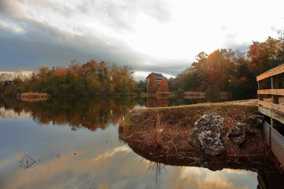 23 Songs For A Florida Fall