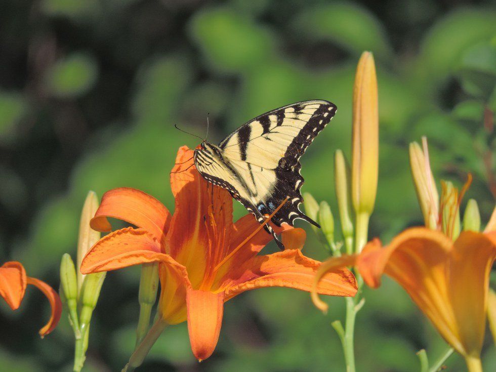 A Story On Mindfulness