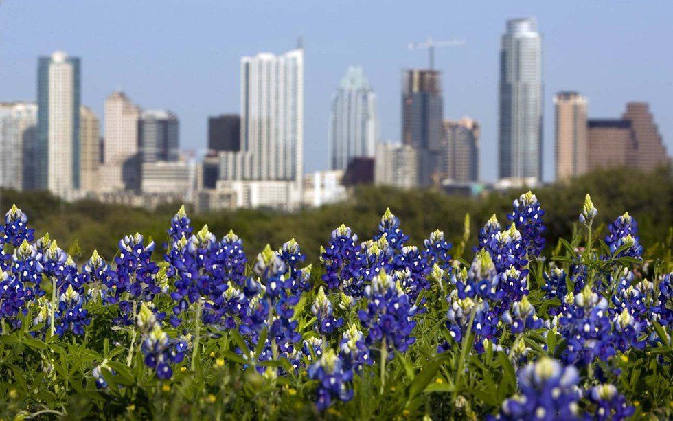 11 Things I Miss About Living In Austin, Texas