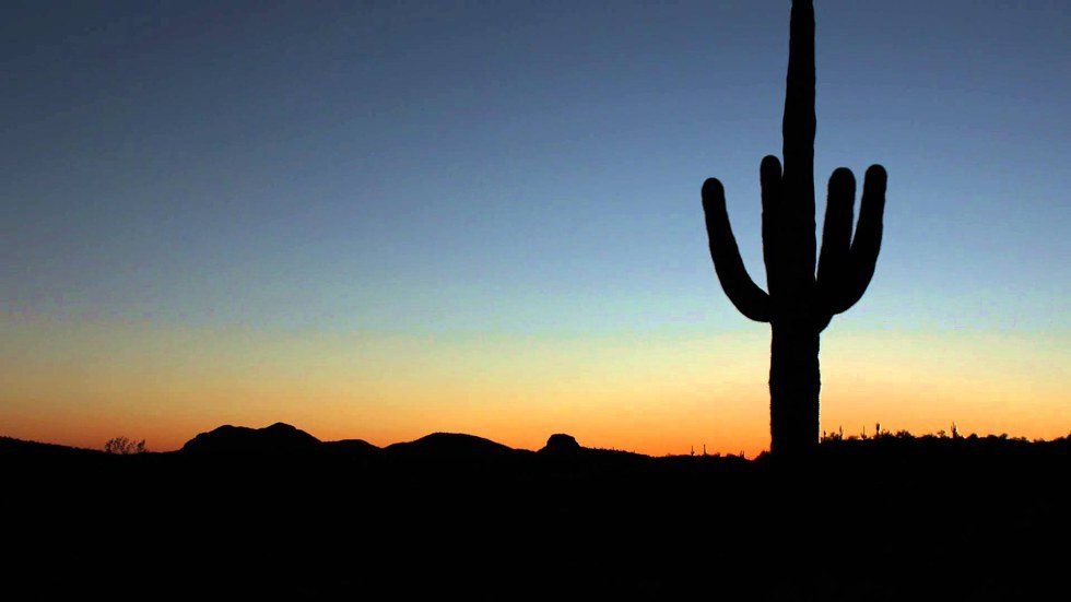 16 Signs That You're a True Arizonian