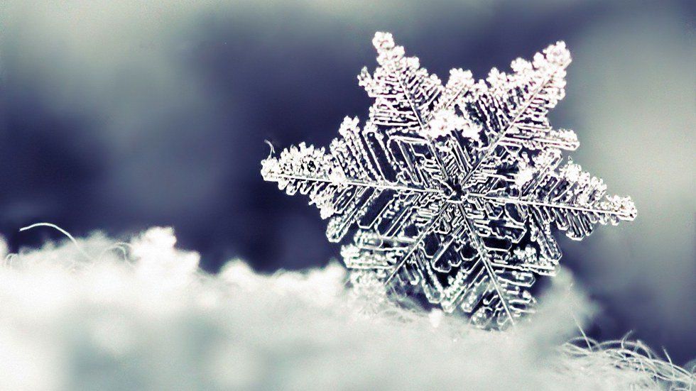 10 Things That Remind Me of Winter