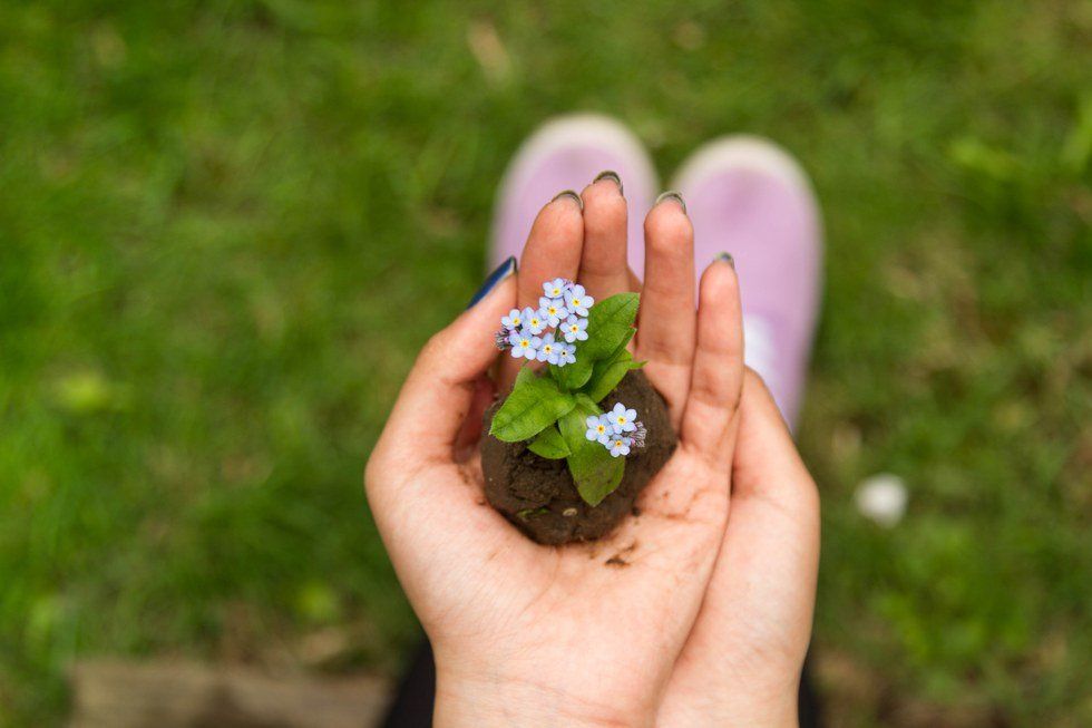 Plant Your Own Garden