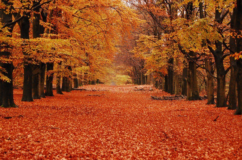 10 Reasons To Love Fall