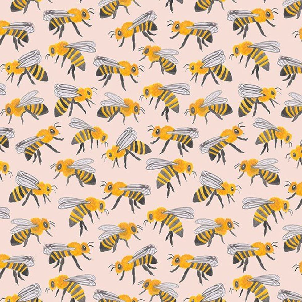 The Bee Obsession: Explained