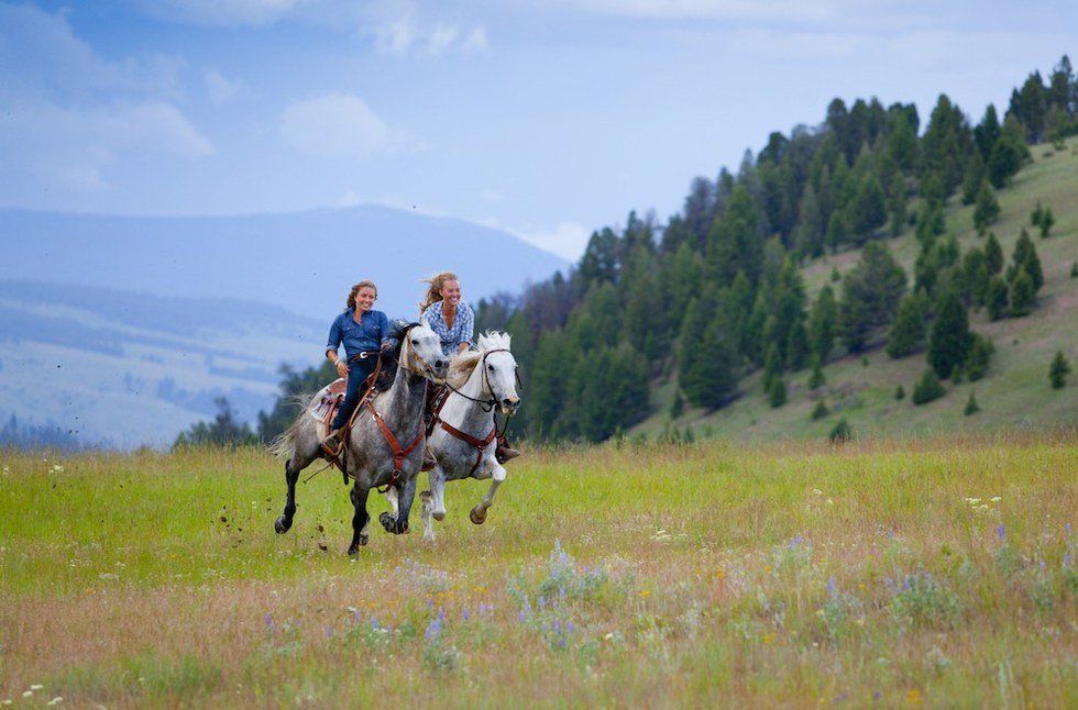 The Life Lessons You Learn From Horses