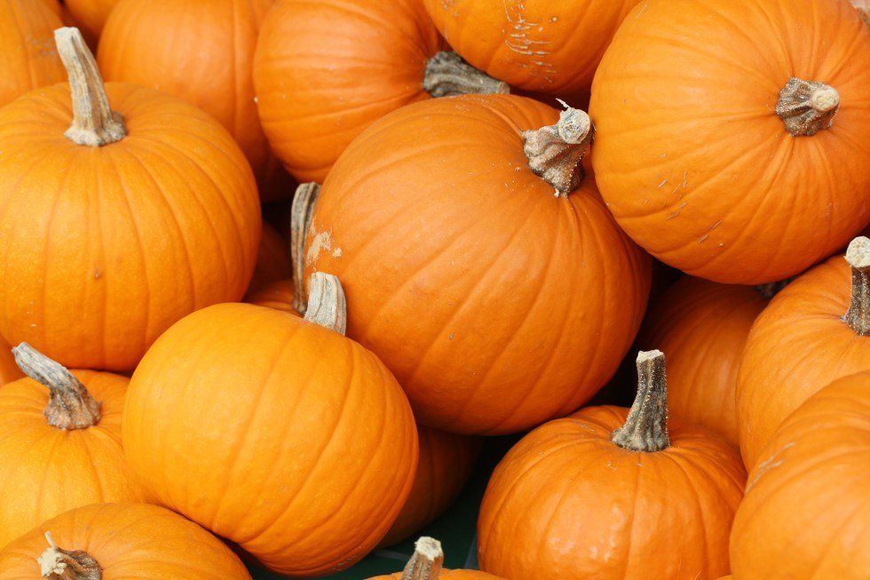 Pumpkin Recipes for the Soul