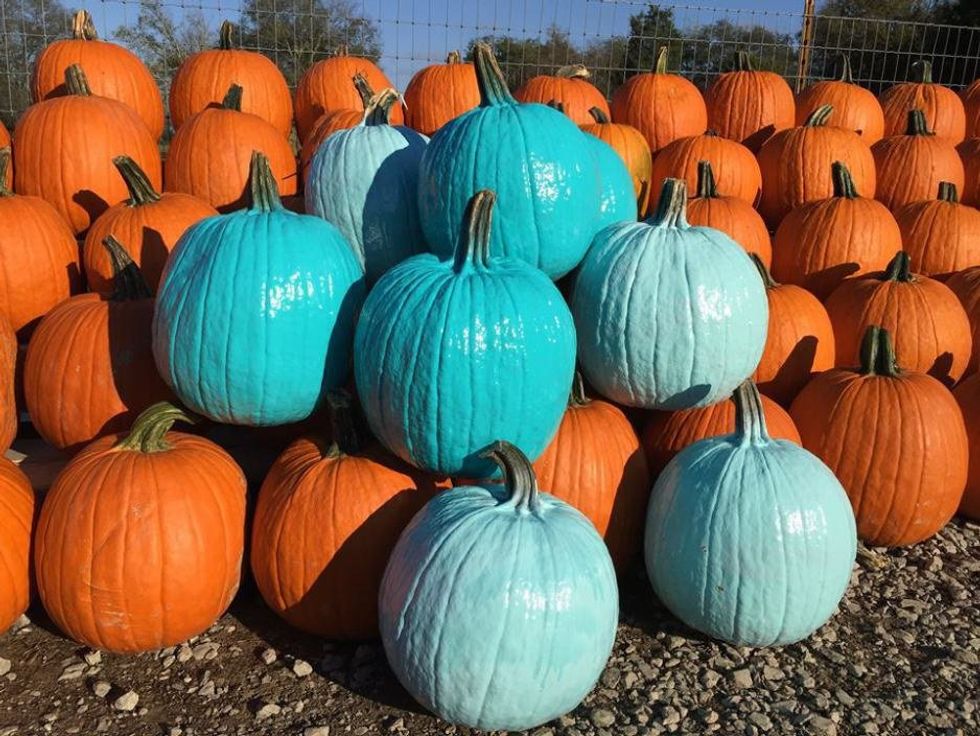 Teal Is The New Orange This Halloween