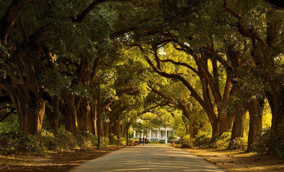 6 Hidden Gems Of Alabama