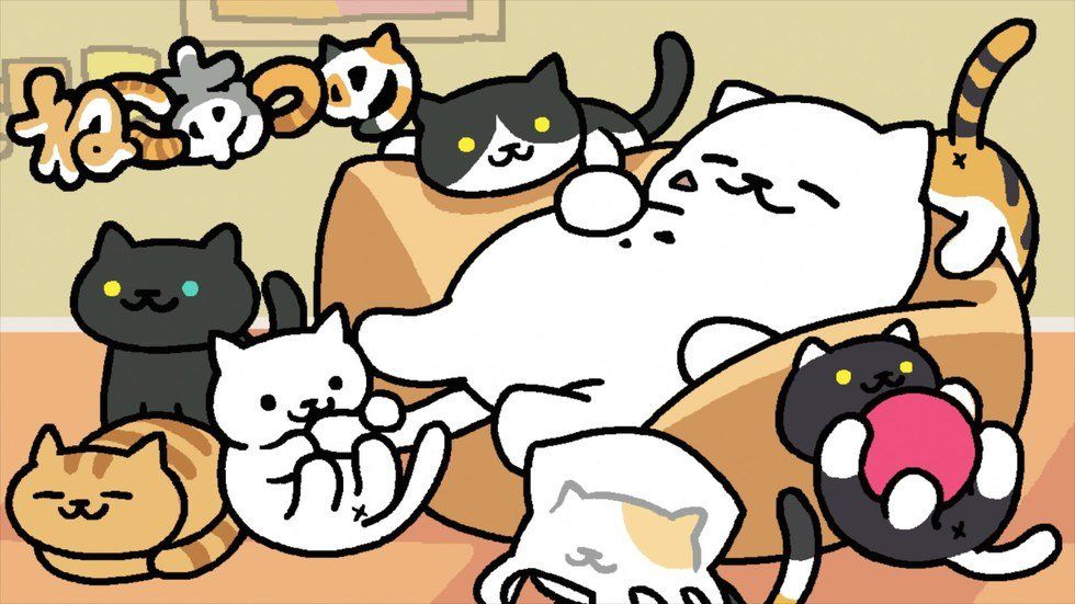 15 Reasons "Neko Atsume" Is Addicting