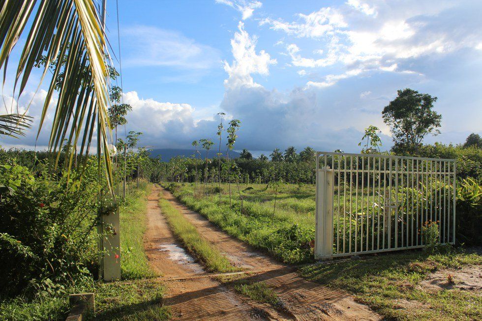 What Thailand Really Looks Like