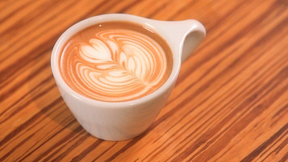 The Beginner's Guide to Coffee