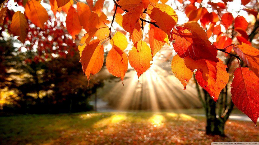 10 Reasons Autumn Is The Best Season