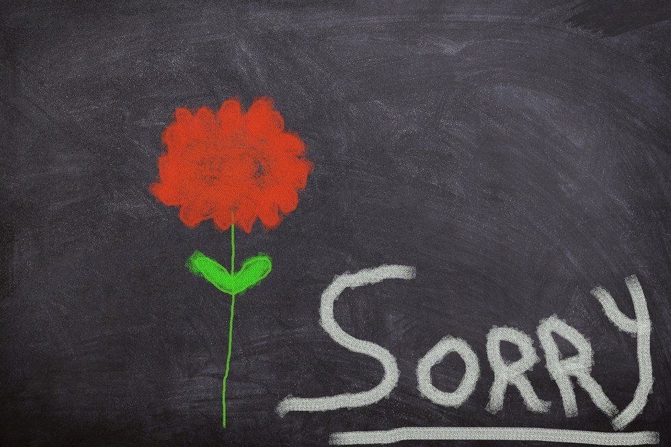 I'm Sorry: An Apology To Everyone