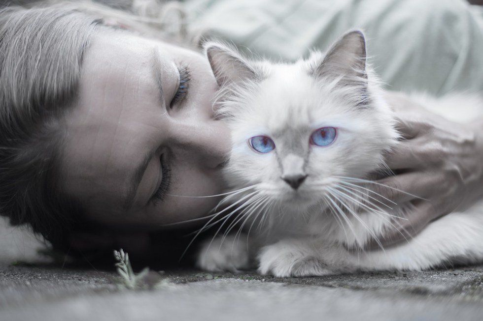 6 Perks of Being a Cat Mom