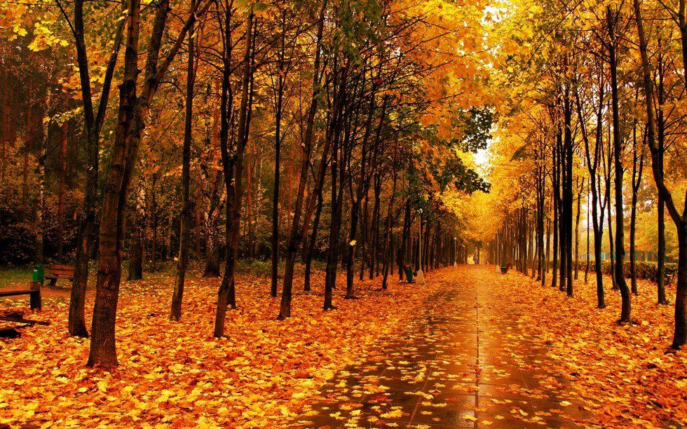 6 Reasons Why Fall is the Best