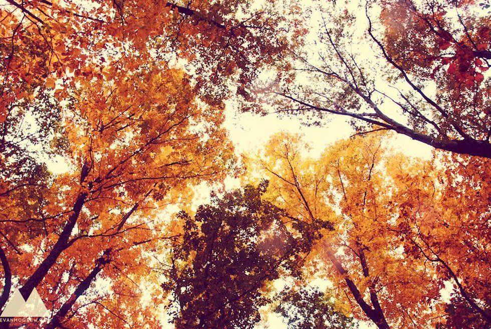 The Ultimate Fall Playlist