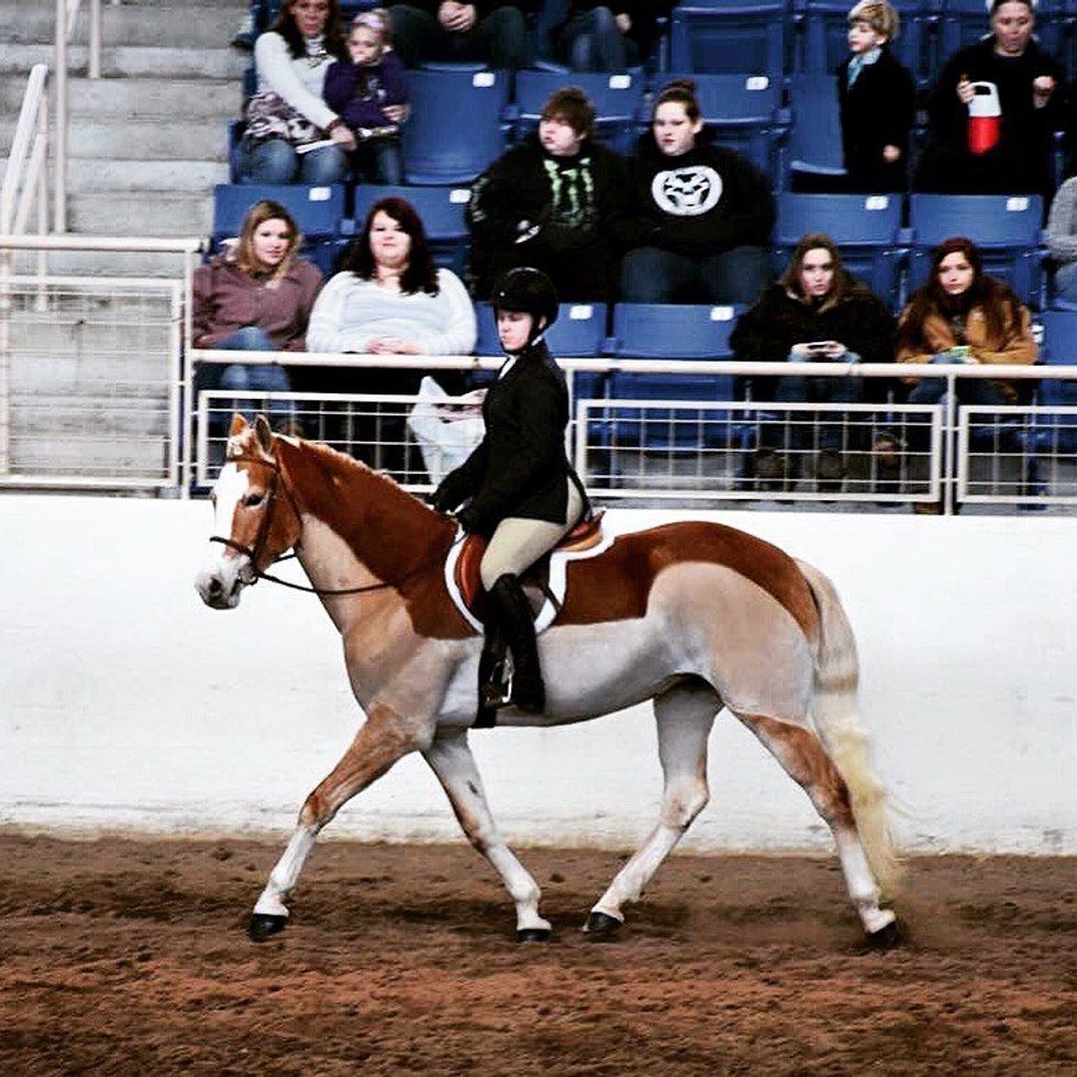 The Horse Show Hangover