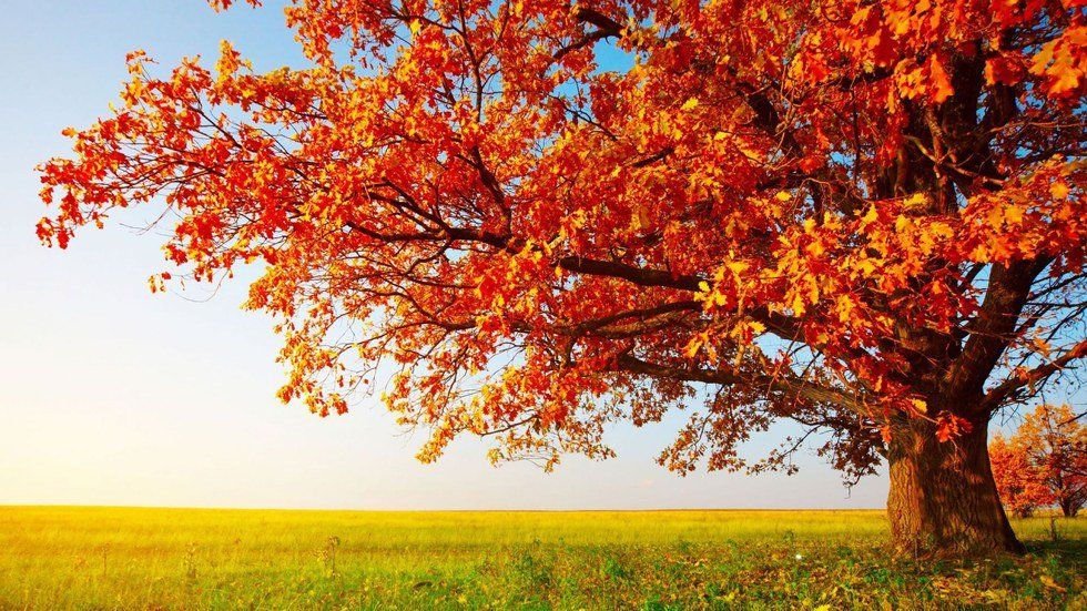 The 7 Most Exciting Things About Fall