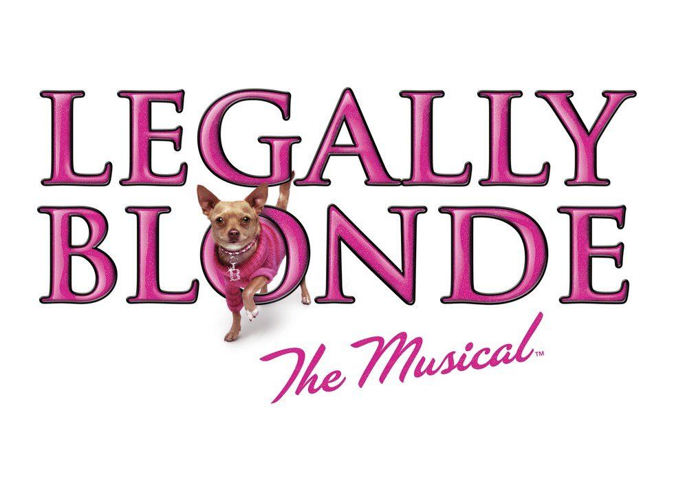 Why Legally Blonde Is Important To Me