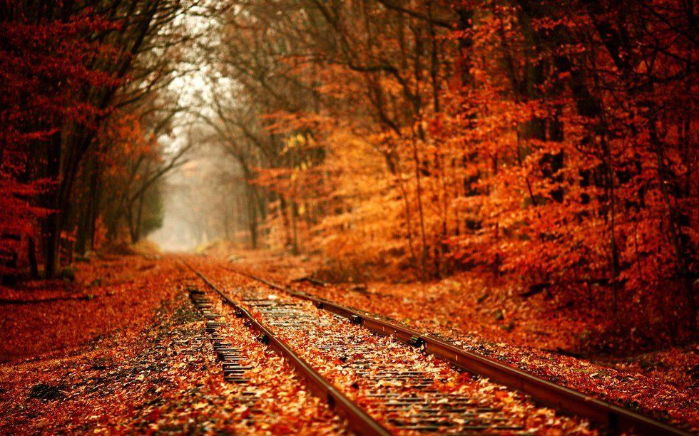 Why I "Fall" In Love With Fall