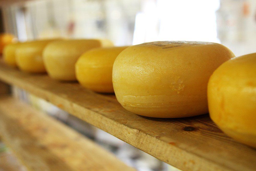 A Goodbye Letter to My Love (aka Cheese)