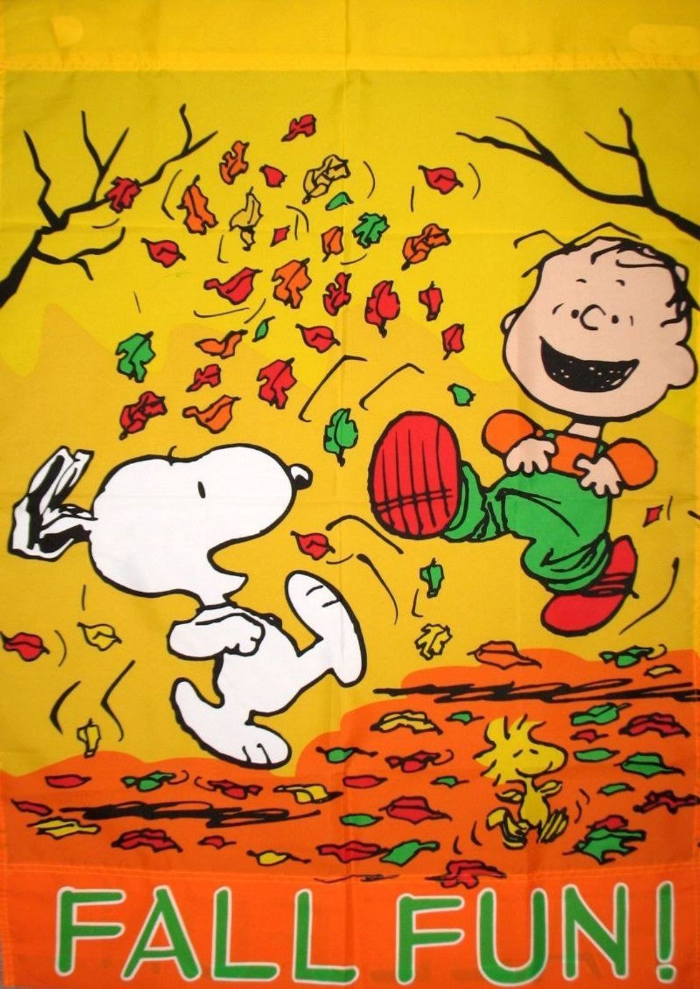 5 Things to Do When the Leaves Fall