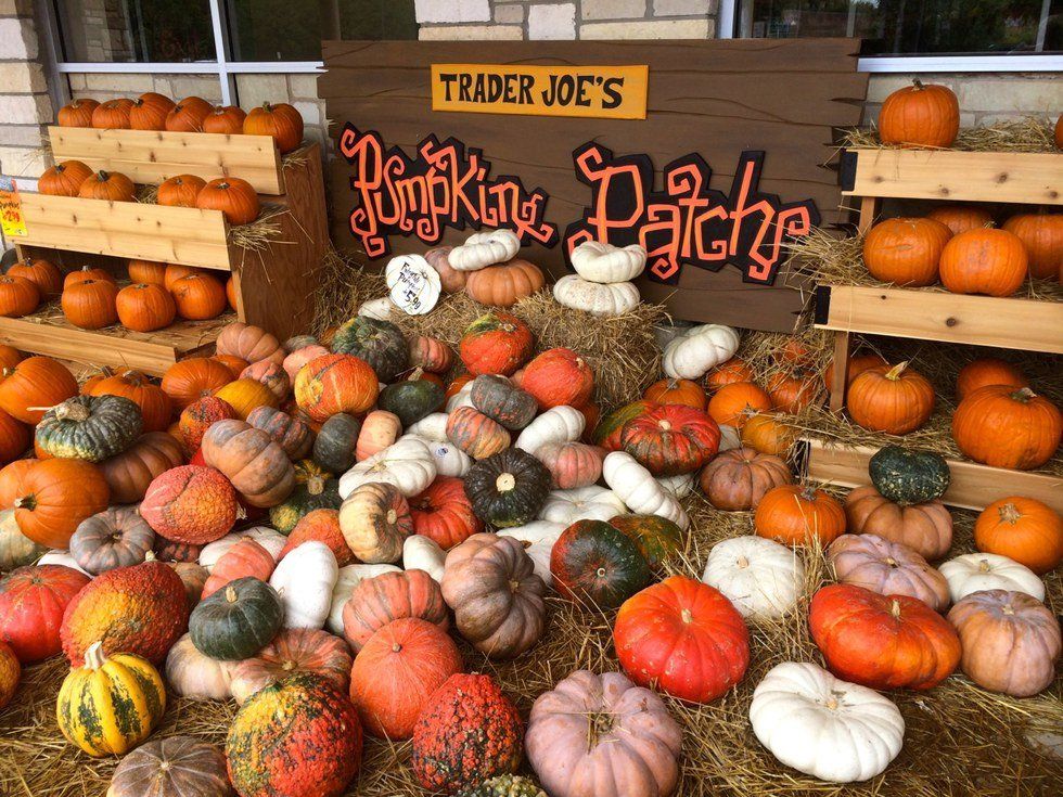 Trader Joe's Are The Pumpkin Pros