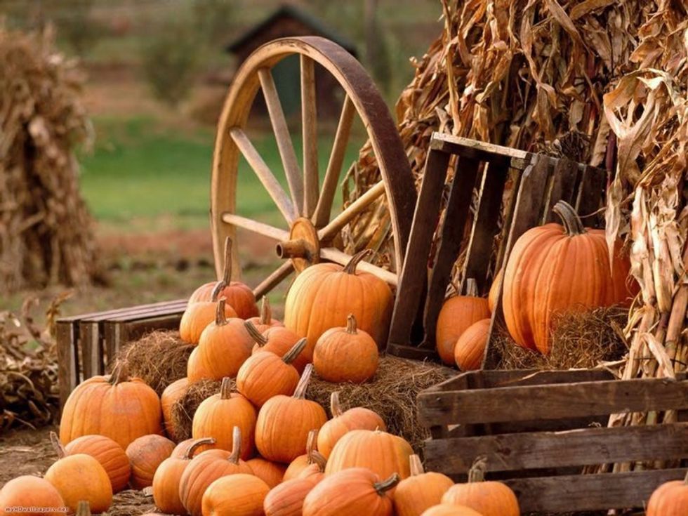 The 10 Best Things About Fall