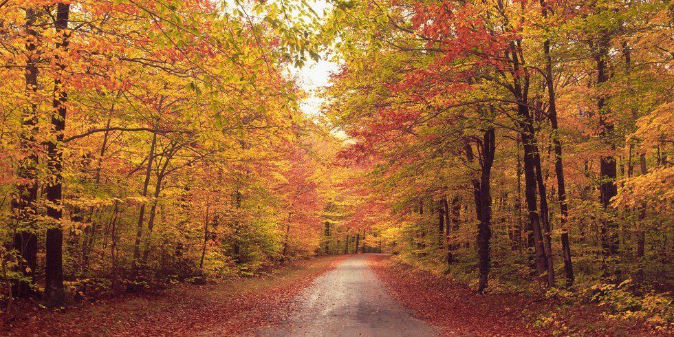 5 Places To Visit During Fall Around Davenport