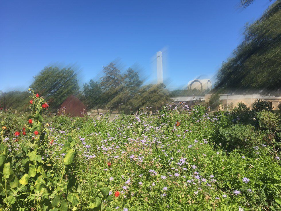 Stopping To Smell The Flowers