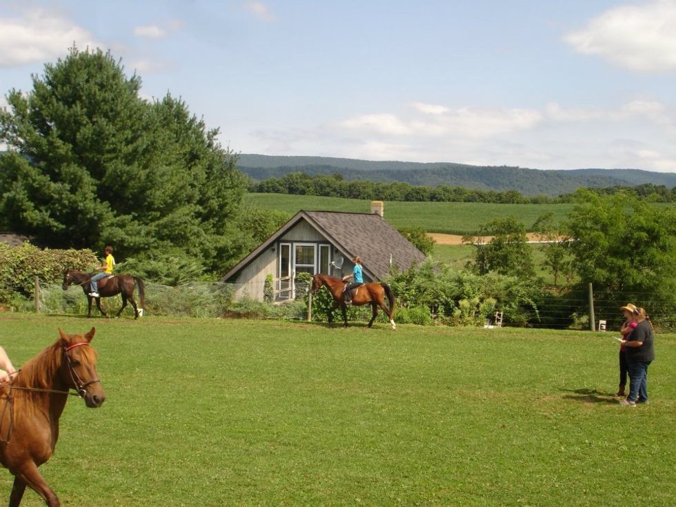 6 Life Lessons I Learned at the Barn