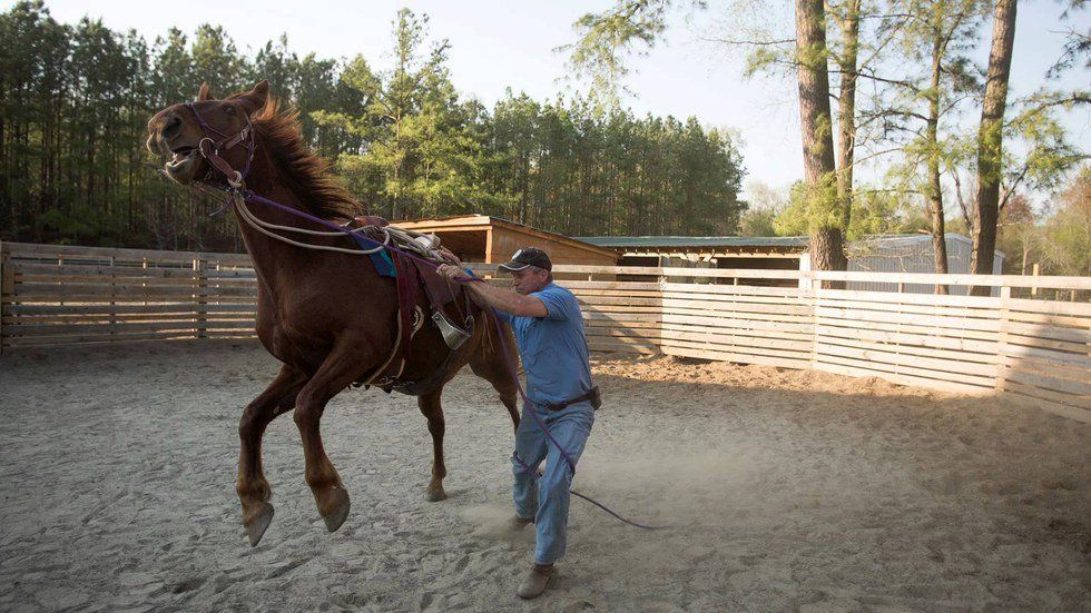 Saddle Breaking Never Does Run Smooth