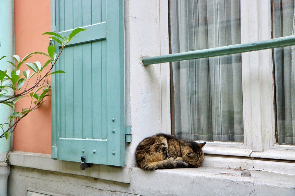 The Lazy Parisian Sunday