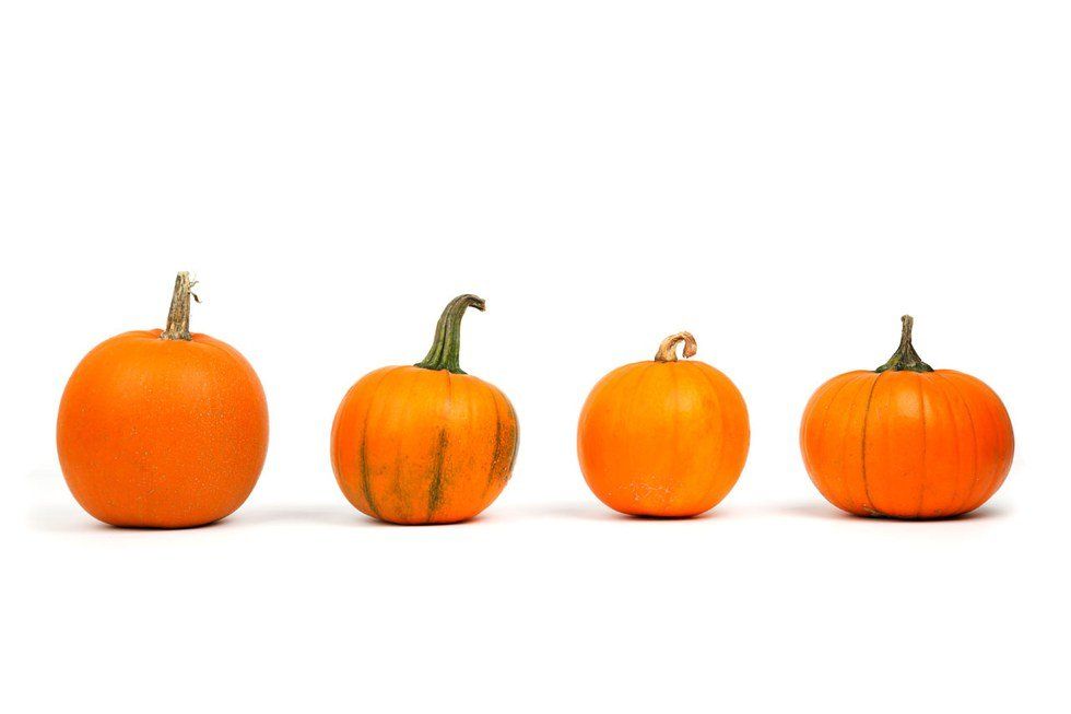 5 Pumpkin Facts To Spark Your Fall Fever