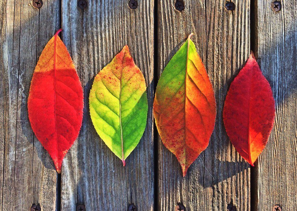 10 Best Things About Fall