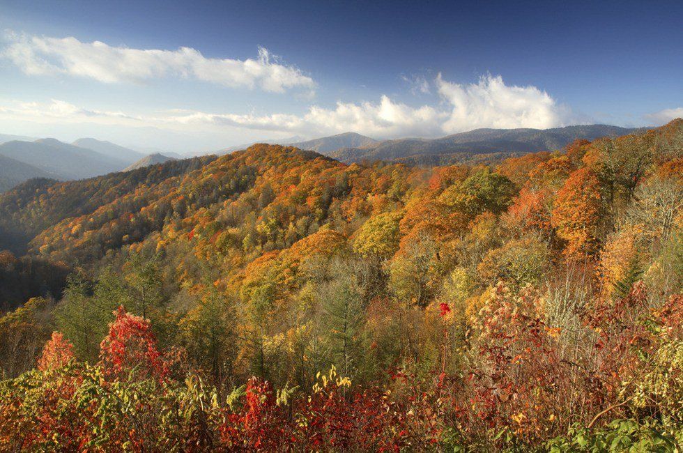 10 Things To Do During Fall In North Georgia