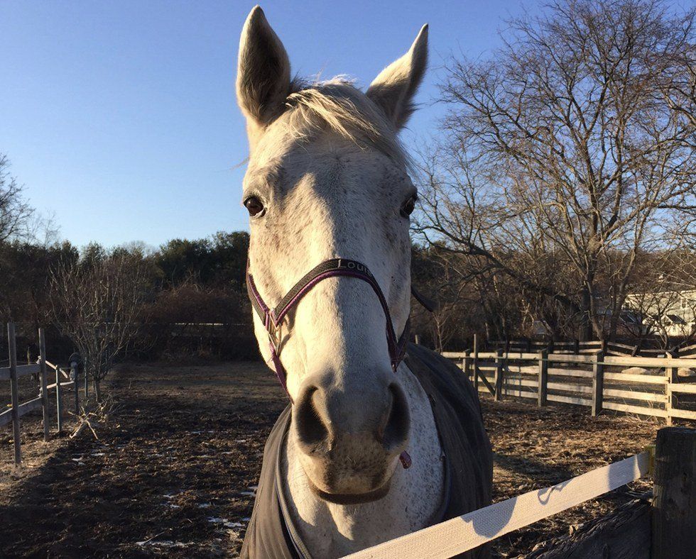 11 Things Moms (and Dads) of Broken Horses Know to Be True