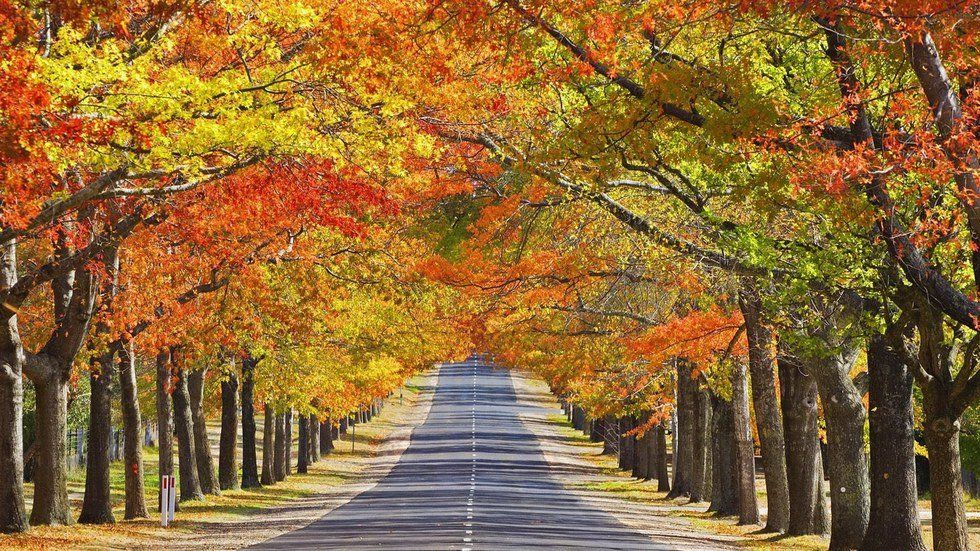 Mother Nature Finally Introduces Fall Season