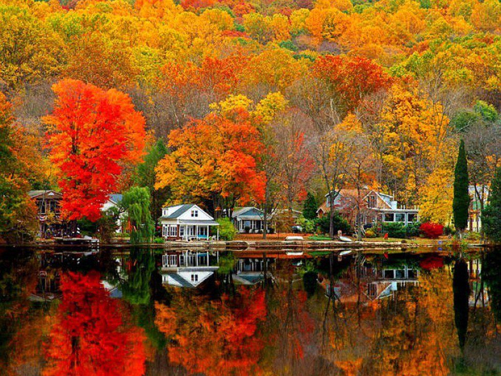 10 Reasons Why Fall Is The Best Season